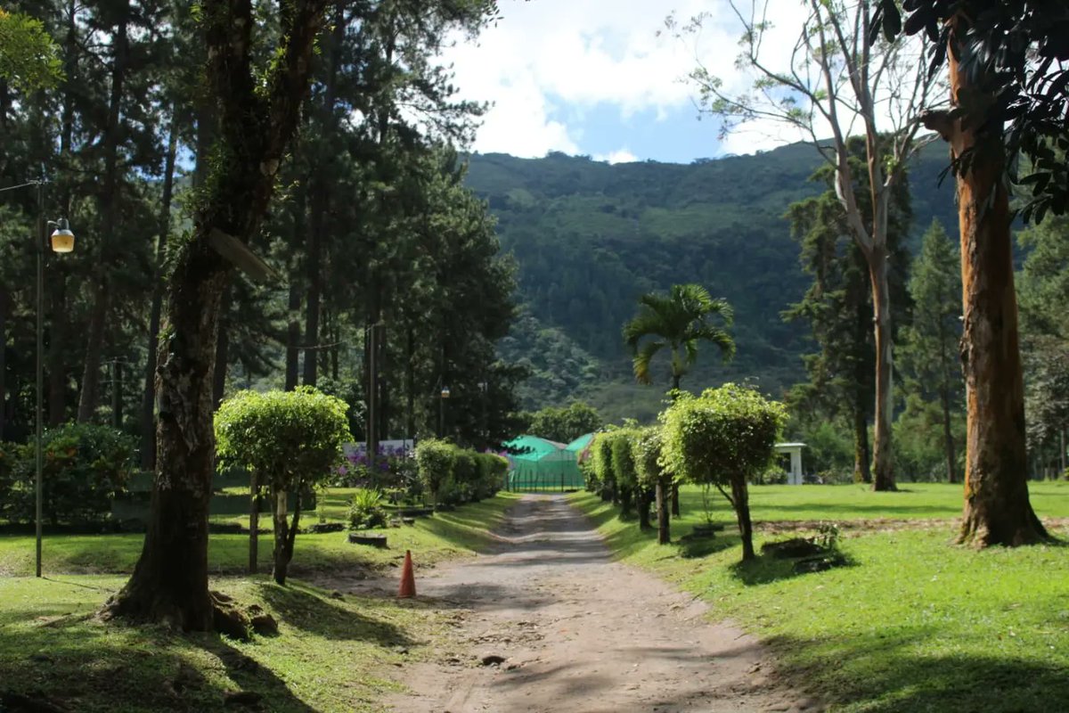 Con el objetivo de reforzar los planes de trabajo que se estarán ejecutando por las distintas direcciones regionales,  el día de ayer se llevó a cabo la vigésima sexta sesión ordinaria de la Junta Técnica Provincial,  en la Reserva Forestal La Yeguada, Distrito de Calobre.