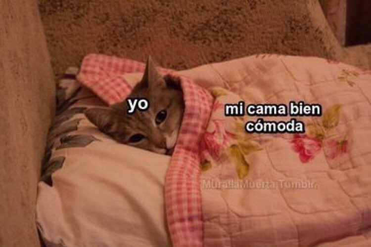 carlyhb's tweet photo. Que pereza la vida fuera de la cama https://t.co/8hGSZAcei0