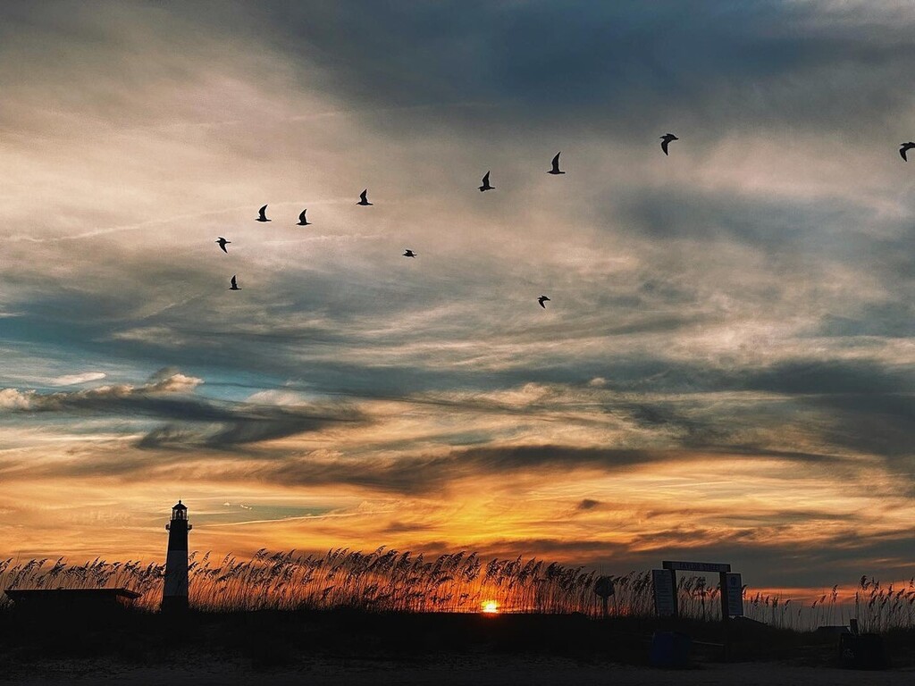 VisitTybee's tweet photo. Fall vibes on Tybee? Count us in! 🧡 #VisitTybee [📸 @lifethrough_leaslens] 
.
. 
. 
#tybeeisland #tybee #tybeebeach #sunset #fireskies #lighthouse https://t.co/8NqB6oh8dq