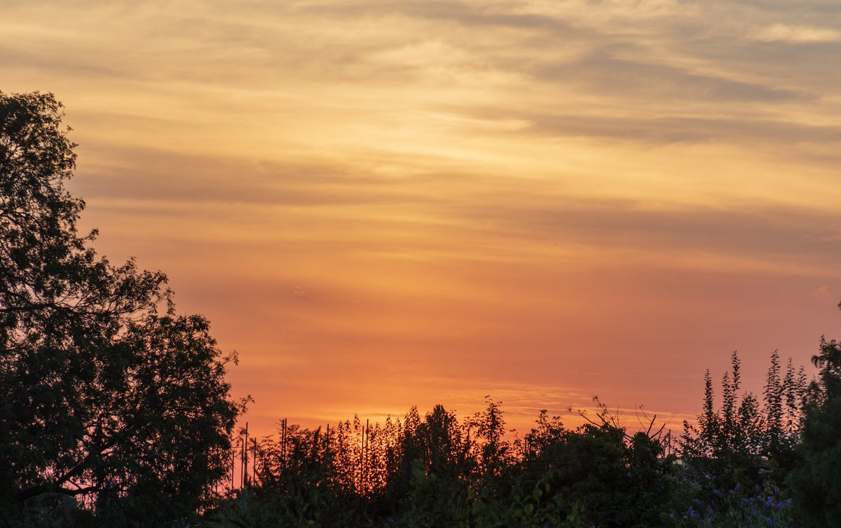 NewtonAndy's tweet photo. Sunset on 13th August. Taken at The Bonded Warehouse, Stourbridge #RotamPhoto #blackcountry #blackcountryphotos #sunset https://t.co/ofUd1SoMVc