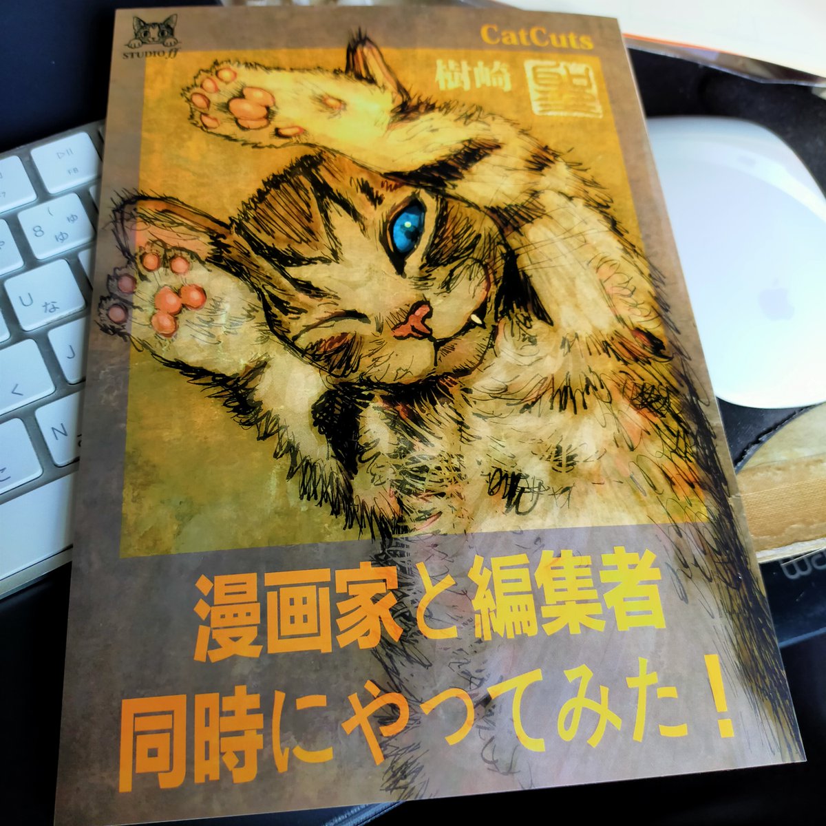 「カタルシスプラン」
「漫画家と編集者 同時にやってみた!」
も、コミティアで出します〜。 #コミティア141
コミティアに行けない方はこちらから…
https://t.co/ZdK88aDOIC
