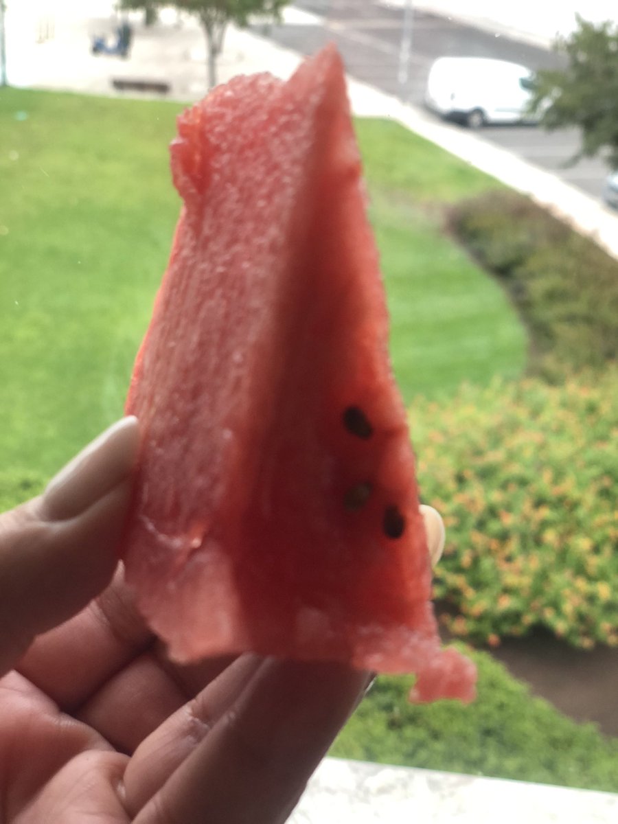 adelaidenunes's tweet photo. #healty #healthyfood #eat #foodie #Avocado #egg #fruit #watermelon https://t.co/gn1GYHXzJR
