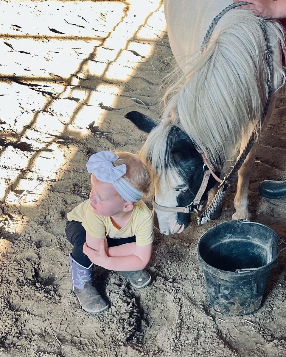 hales 🤍 tweet media