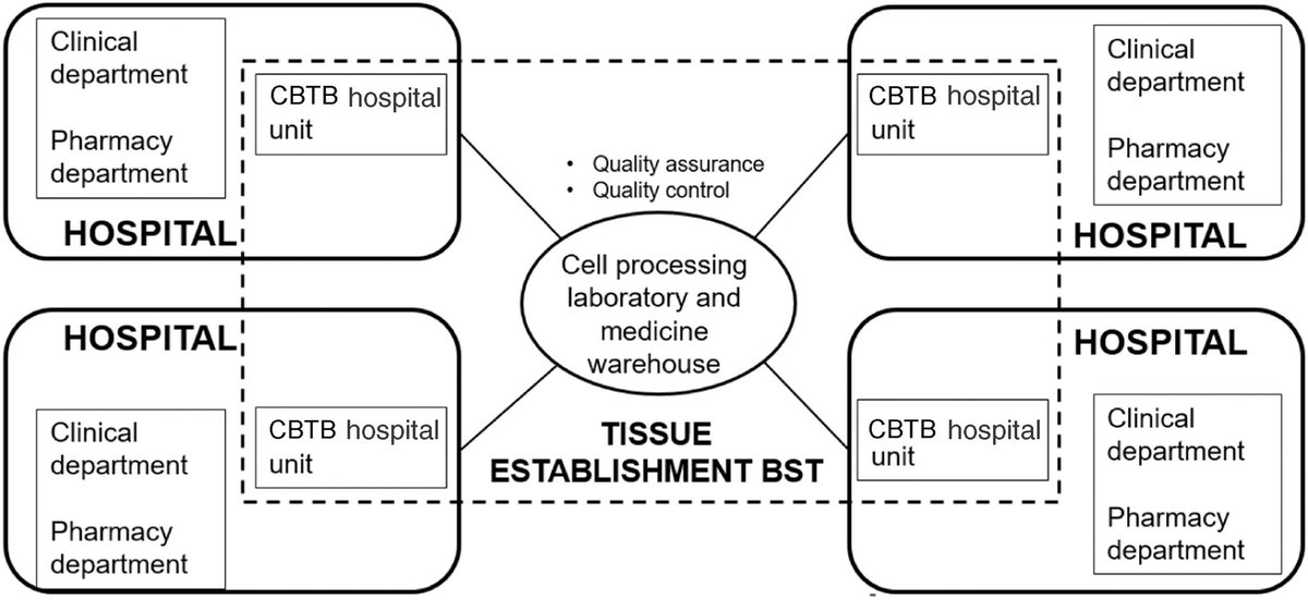 Joaquim Vives (@xinoxan) on Twitter photo <a href="/donarsang/">Banc de Sang</a> has adopted a #hubandspoke model to deliver effective access to #CAR #T-cell based therapies in the #Catalan #public #health #network. Follow the link to learn how: sciencedirect.com/science/articl… <a href="/donarsang/">Banc de Sang</a> has adopted a #hubandspoke model to deliver effective access to #CAR #T-cell based therapies in the #Catalan #public #health #network. Follow the link to learn how: sciencedirect.com/science/articl…