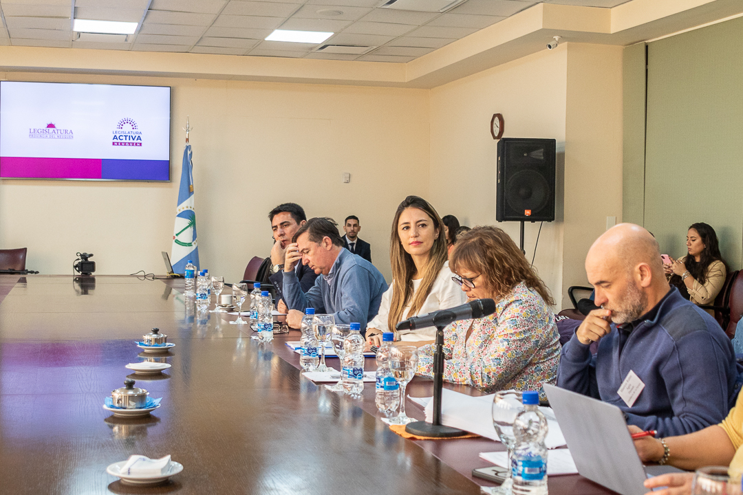 PrensaLegisTDF's tweet photo. La legisladora MLColazo asiste esta mañana a la reunión de Comisión de la #ComisionFederaldeCambioClimatico en #Neuquén, donde se debate la redacción del documento a presentar durante la cumbre del C40 que se realizará en CABA en octubre próximo. https://t.co/6LedmNHZ06