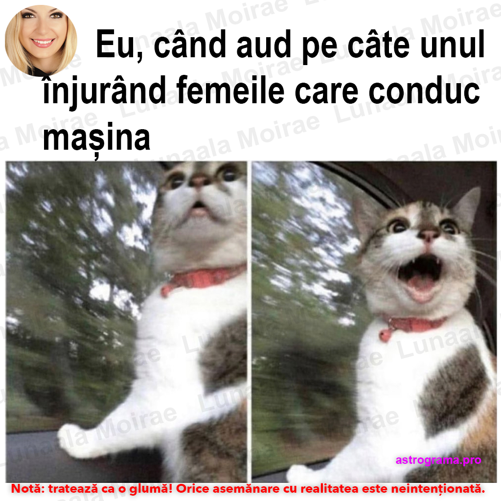lunaalamoirae's tweet photo. ✨ Wow!  😂 Știe să vorbească 😂✨  Calculează gratuit ascendentul, află interpretarea astrogramei tale: https://t.co/vTehE85GH7 #romania  #cluj #brașov #glumeseci #amuzant #glume #bancuri #memeromania #timisoara #suceava #bacau #iasi #satumare #zodiac #horoscop #astrograma https://t.co/6QAHAEgxVi
