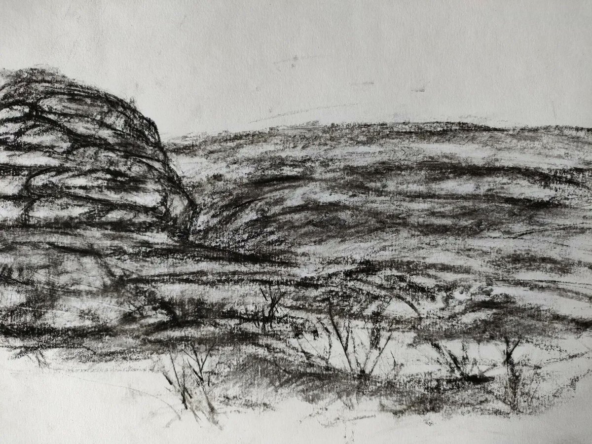 HebronMalcolm's tweet photo. Some pieces on sale at the Dartmoor Collective Exhibition, Poltimore House, Exeter this weekend 27-28 August. Wonderful show, do come along #artforsale #devonartistnetwork #Exeter #Dartmoor https://t.co/MMTFlf1Uf5