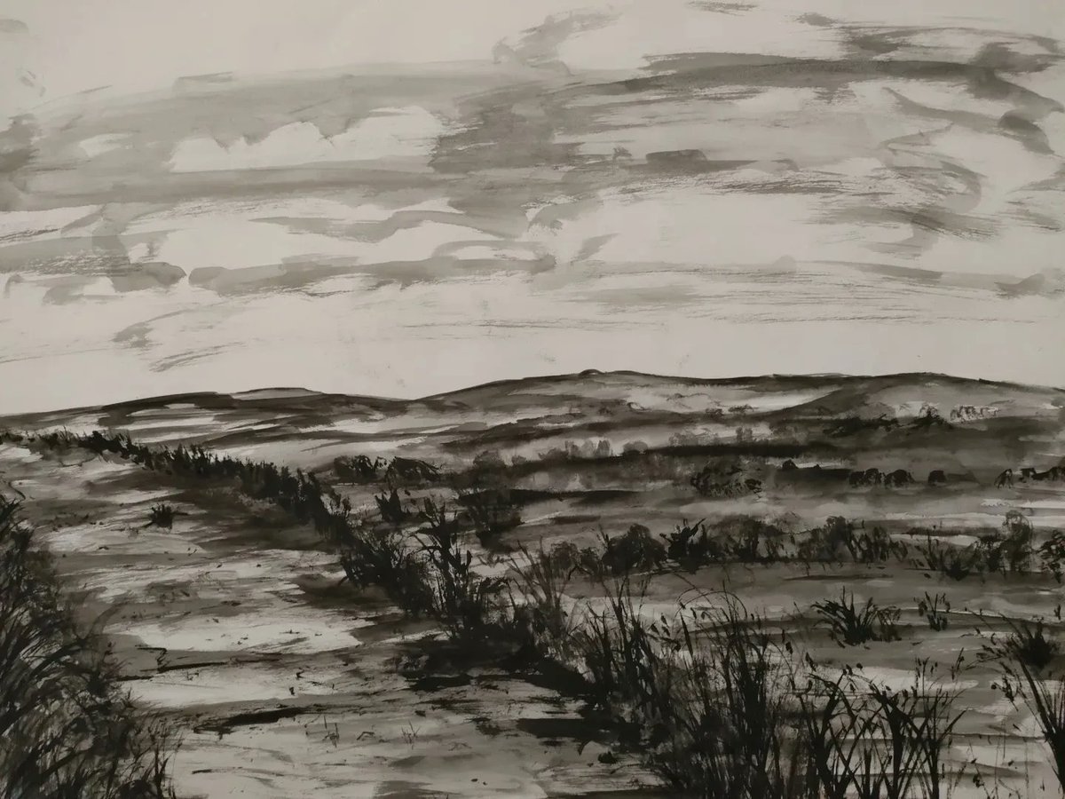 HebronMalcolm's tweet photo. Some pieces on sale at the Dartmoor Collective Exhibition, Poltimore House, Exeter this weekend 27-28 August. Wonderful show, do come along #artforsale #devonartistnetwork #Exeter #Dartmoor https://t.co/MMTFlf1Uf5