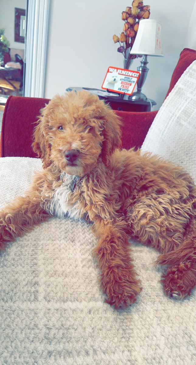 Royce Itliong tweet media