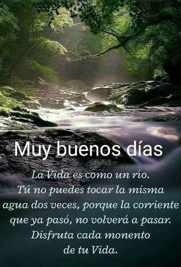socorroruizperez (@socorroruizper1) on Twitter photo 