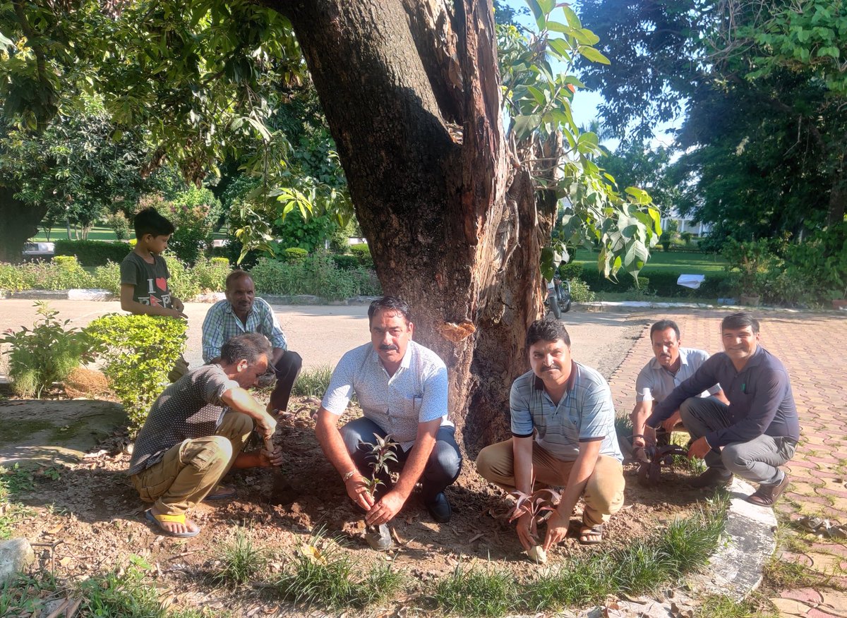 HolyMaddy's tweet photo. As a part of CSR initiatives,  offcrs  from @MahindraFin, JK planted  fruit-bearing, herbal and ornamental saplings in the lawns of State Guest House Jmu. The  plantation drive was conducted under the overall supervision of JD, H&amp;P Jmu Mrs. Ansuya Jamwal @AnsuyaJamwal @thakur0705 https://t.co/70s40tYhx4