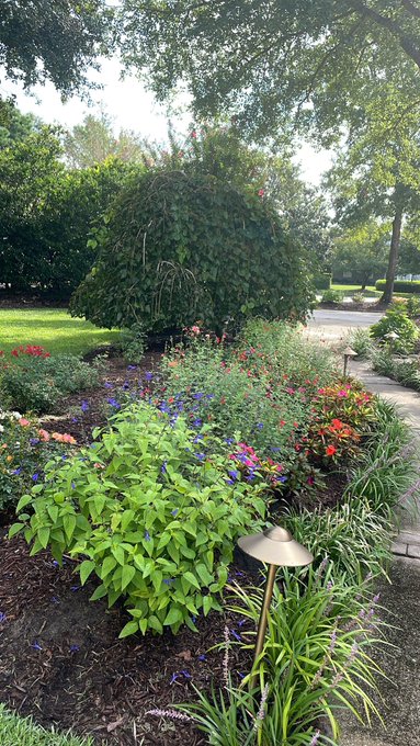 Morning views https://t.co/RpJMFwx50d