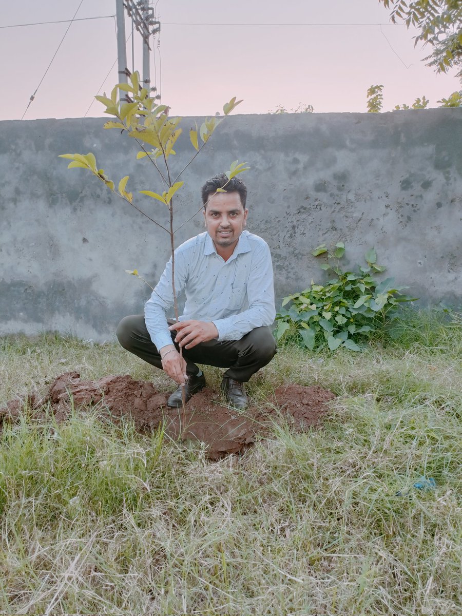 Pritpal77777's tweet photo. With Blessings of DrMSG planted trees continuously on the 27th day in the happiness #BirthMonthOfMSG https://t.co/93Y26nVsBC
