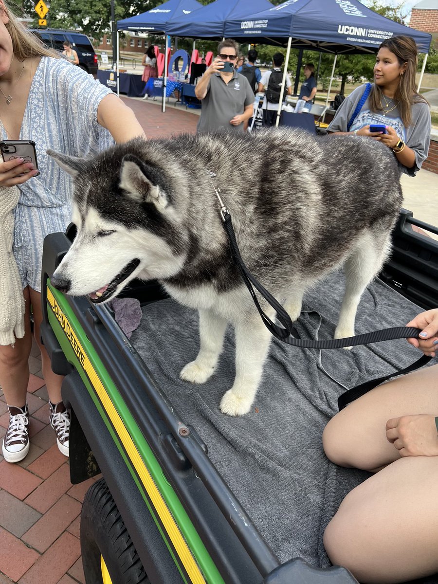 Glastonbury At&t Store (@gbury140) on Twitter photo Glastonbury Day 2 at <a href="/UConn/">UConn</a> Student welcome event!! We found Jonathan!! 🐾<a href="/emilywiper/">Emily Wiper</a> <a href="/firas_smadi/">Firas Smadi</a> <a href="/Auvino15/">Arnold Uvino</a> <a href="/TheRealOurNE/">#OurNE</a> Glastonbury Day 2 at <a href="/UConn/">UConn</a> Student welcome event!! We found Jonathan!! 🐾<a href="/emilywiper/">Emily Wiper</a> <a href="/firas_smadi/">Firas Smadi</a> <a href="/Auvino15/">Arnold Uvino</a> <a href="/TheRealOurNE/">#OurNE</a>