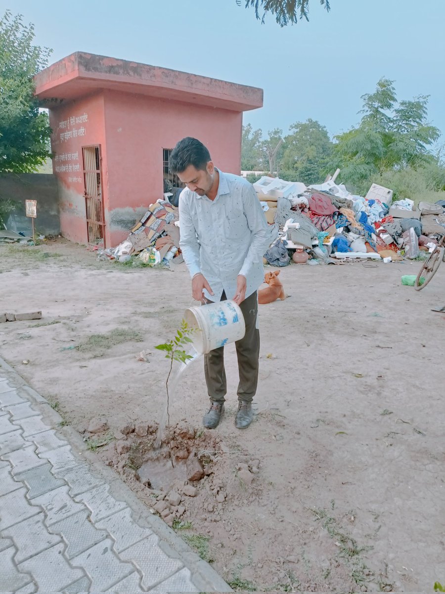 Pritpal77777's tweet photo. With Blessings of DrMSG planted trees continuously on the 27th day in the happiness #BirthMonthOfMSG https://t.co/93Y26nVsBC