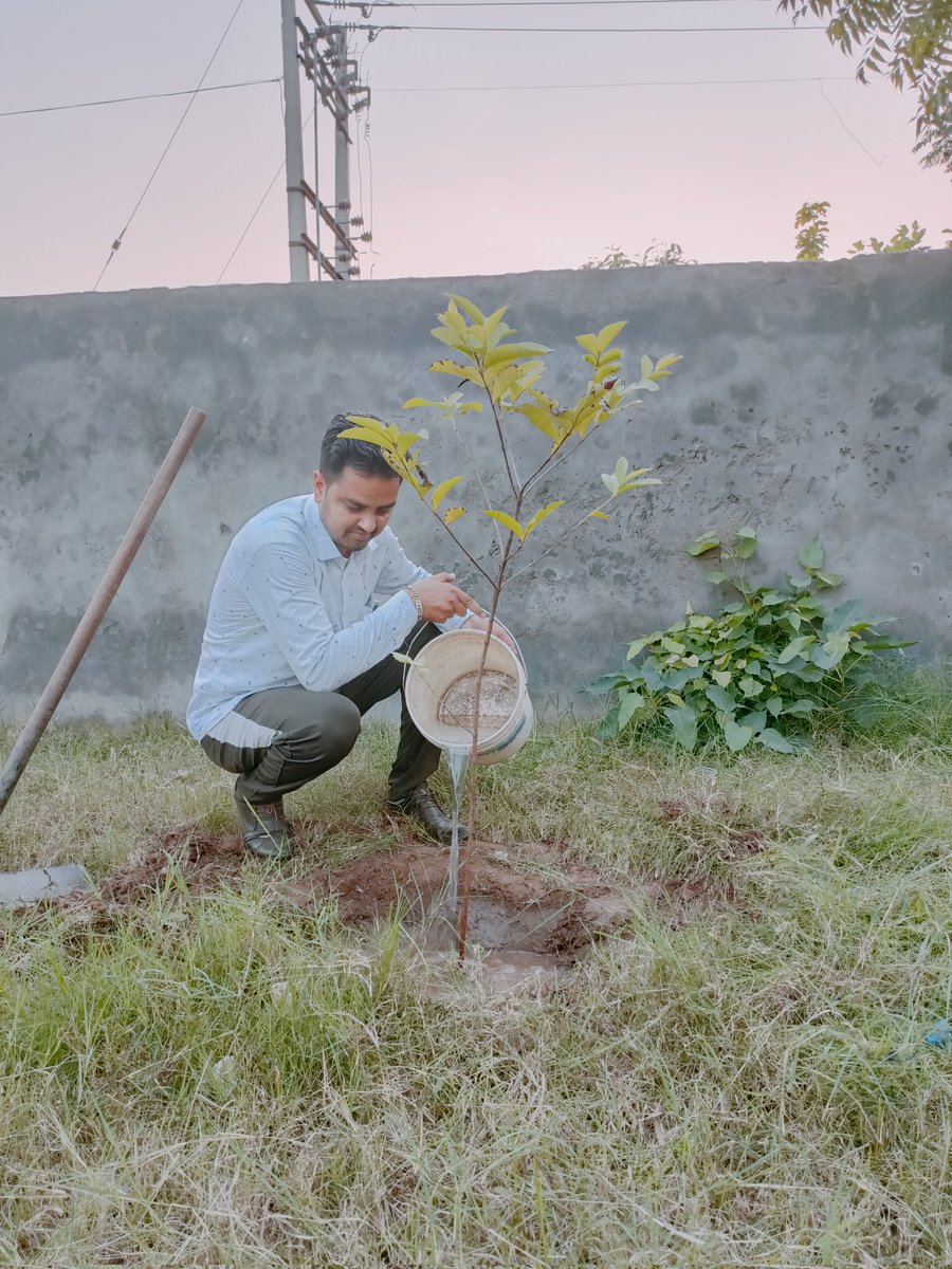 Pritpal77777's tweet photo. With Blessings of DrMSG planted trees continuously on the 27th day in the happiness #BirthMonthOfMSG https://t.co/93Y26nVsBC