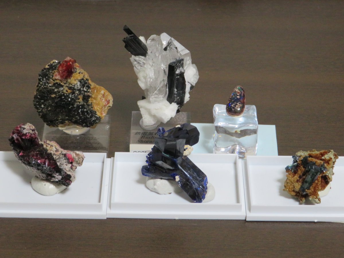 Issiki_1's tweet photo. 無くなった日用品を買いに行くつもりが、気づいたら名古屋ミネショの会場にいたし日用品買ってない。 https://t.co/f3AMbx7tZi