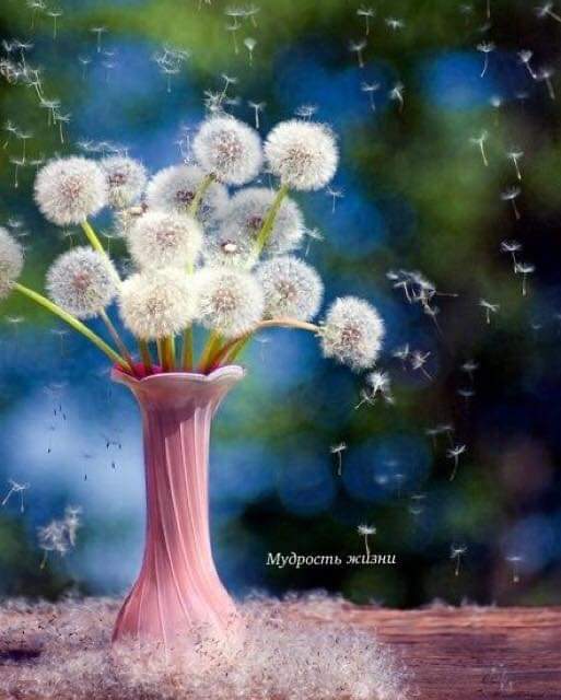 Надежда Родионова tweet media