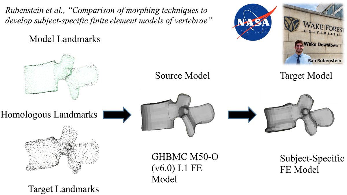 Ashley A. Weaver, PhD (@ashleyaweaver) on Twitter photo First publication for <a href="/WakeBME/">Wake Forest Biomedical Engineering</a> REU intern Rafi Rubenstein! tandfonline.com/doi/full/10.10…
Rafi's work comparing finite element morphing methods is helping us develop astronaut-specific spine models to assess changes in vertebral strength and injury risk from spaceflight🚀#NASA First publication for <a href="/WakeBME/">Wake Forest Biomedical Engineering</a> REU intern Rafi Rubenstein! tandfonline.com/doi/full/10.10…
Rafi's work comparing finite element morphing methods is helping us develop astronaut-specific spine models to assess changes in vertebral strength and injury risk from spaceflight🚀#NASA