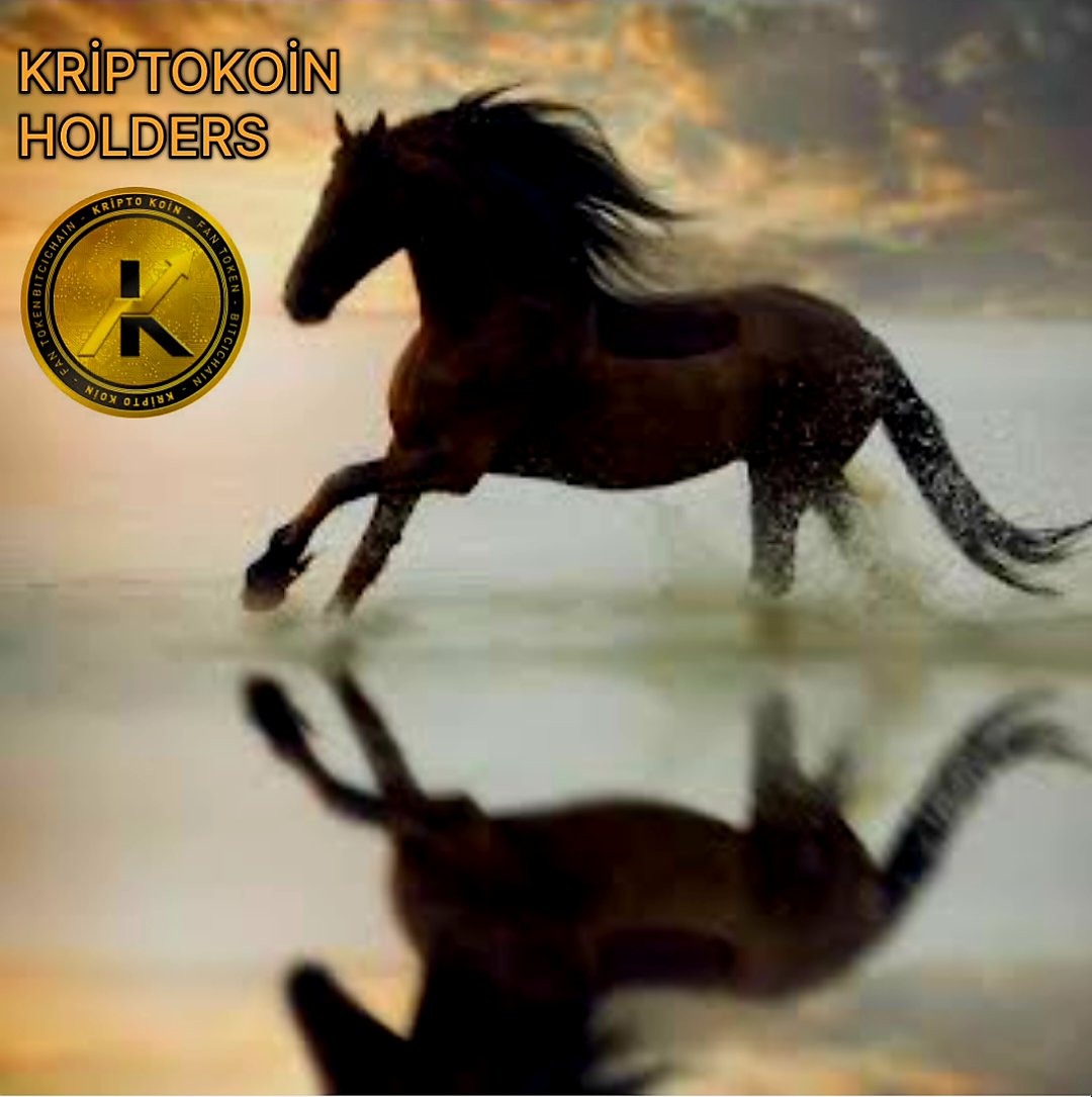 @Vrlozpolat @BitciYatirimci <a href="/bitcicom/">bitcicom</a> <a href="/kriptokoin/">Kriptokoin</a> @sonerdemir77 @fth_goktas <a href="/onuraltantan/">Onur Altan Tan</a> <a href="/bcagdascaglar/">Çağdaş Çağlar</a> <a href="/cz_binance/">CZ 🔶 BNB</a> @gate_io <a href="/kriptoarena/">KriptoArena</a> <a href="/HuobiGlobal/">火币HTX</a> <a href="/KuCoinTurkey/">KuCoinTR</a> #KriptoKoin
Total Supply limited✅️
 All of the supply is in the investors✅️
 They are burned by the community✅️
 Game project coming soon✅️
 They will be burned in the game✅️
 NFT project✅️Global stock market listings✅️
@sonerdemir77 @fth_goktas