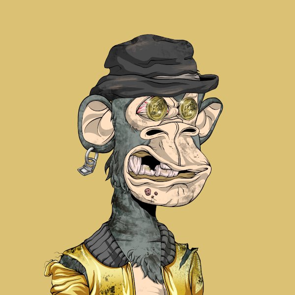 0xOnePiece's tweet photo. @rektapeNFT Come rekt https://t.co/d8rfspjliq