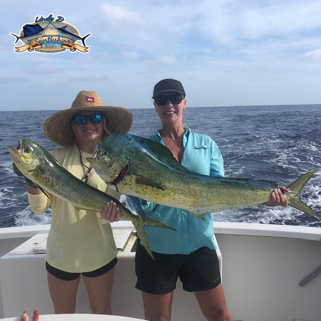 LindaDsportfish's tweet photo. Fishing ain't for the faint-hearted, it's for the fishing freaks! 🎣🐟🐠🛥
https://t.co/4zB0Tgo0Pg
#adventurelovers #bigcatch #fishingfriends #fishingfreaks #happyhours #fishing #adventures #ocean #bestdayout #charterboat #opensky #boatrides #keywestflorida #lindadsportfishing https://t.co/xmft7uTega