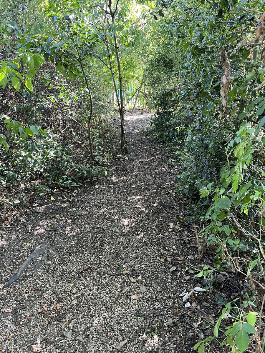 TAS4L's tweet photo. We’ve just completed the #gillaslaneprimary Adventure Forest renovation and revamp. Ready for the kids return in a weeks time. We did some enhancements… the ancient people of Houghton have been to visit. #forestschool #AdventureForest #forestschoolideas https://t.co/IiMsKkmjZm
