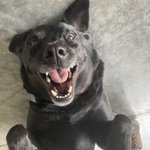 Photo by Lisa@dottified (@Lisaatdottified)