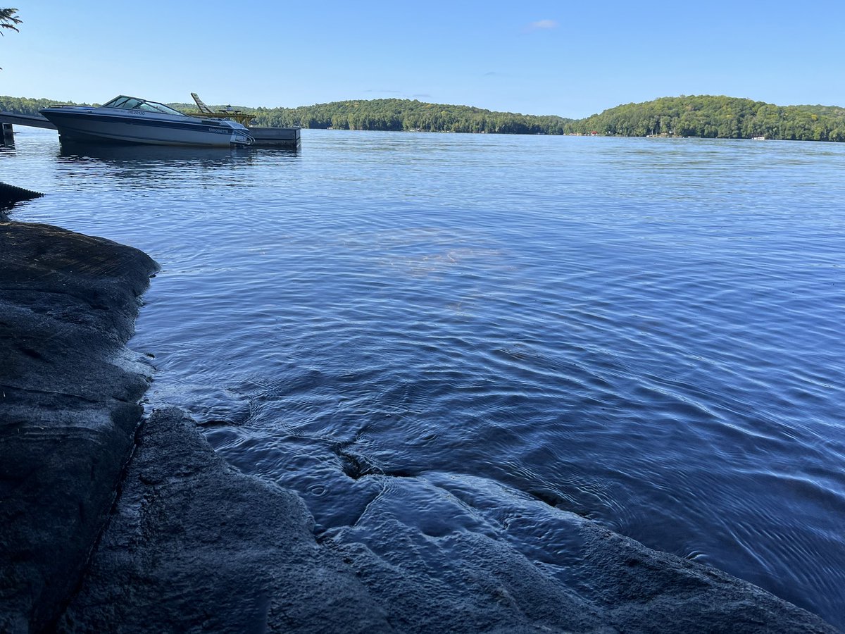 T47Hill's tweet photo. @tom4141tom My real morning view, winding down the summer! https://t.co/vST6ZgY2Ts