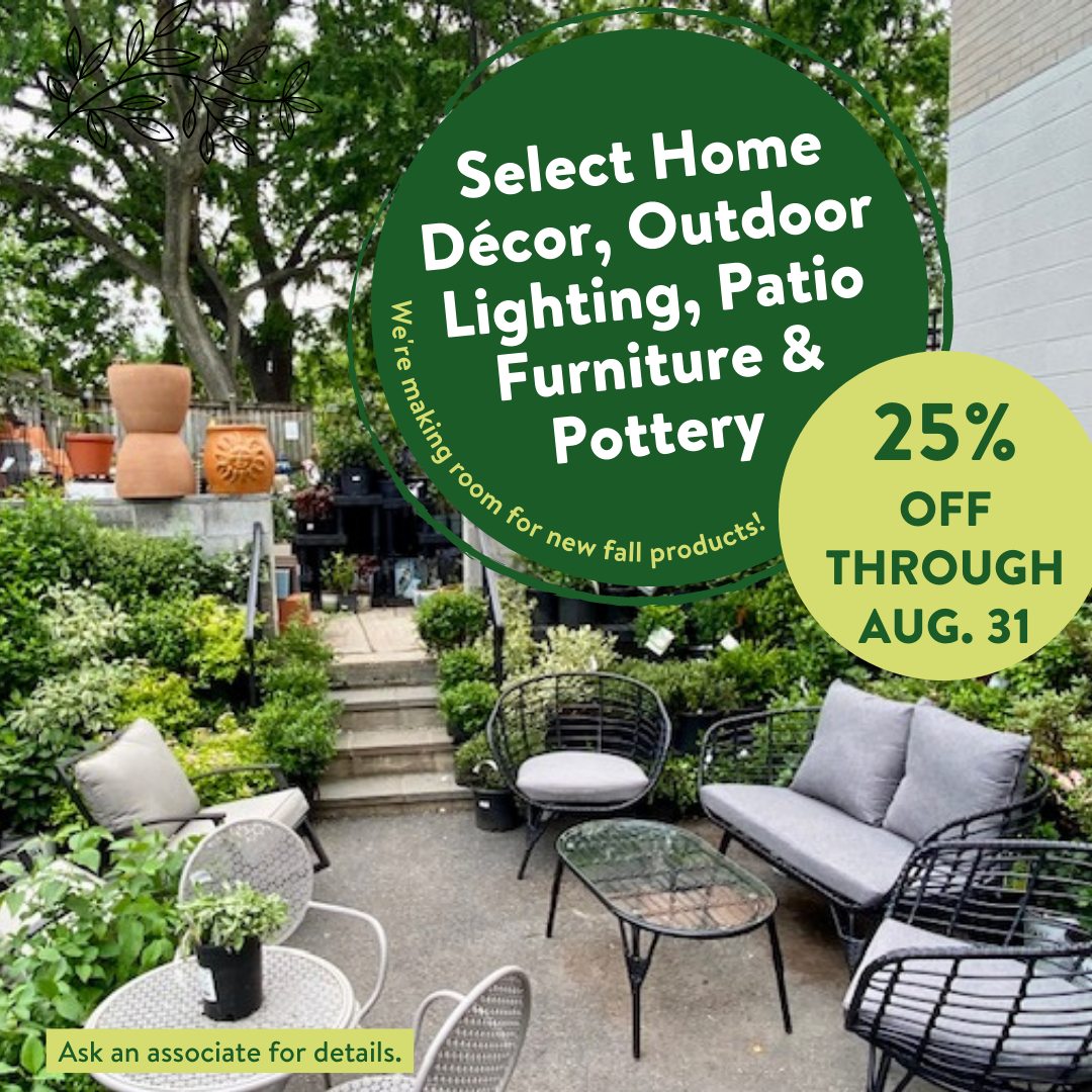 🔥Save 25% on select home décor, outdoor lighting, patio furniture, and pottery through Aug. 31st at Tenleytown Ace Hardware! While supplies last. 

📍4500 Wisconsin Ave. in #Tenleytown  <a href="/Cool_Hardware/">Cool Hardware</a> <a href="/SmallBizDC/">DSLBD</a>