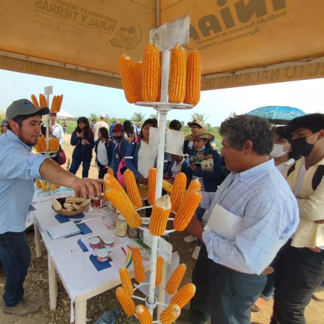 @INIAFBolivia - MDRyT tweet media