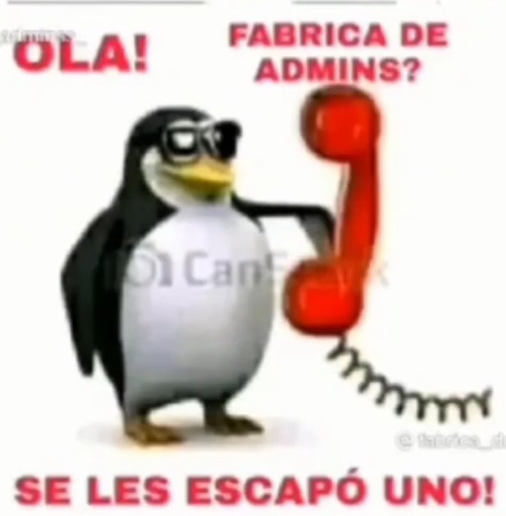 xNTOx tweet media