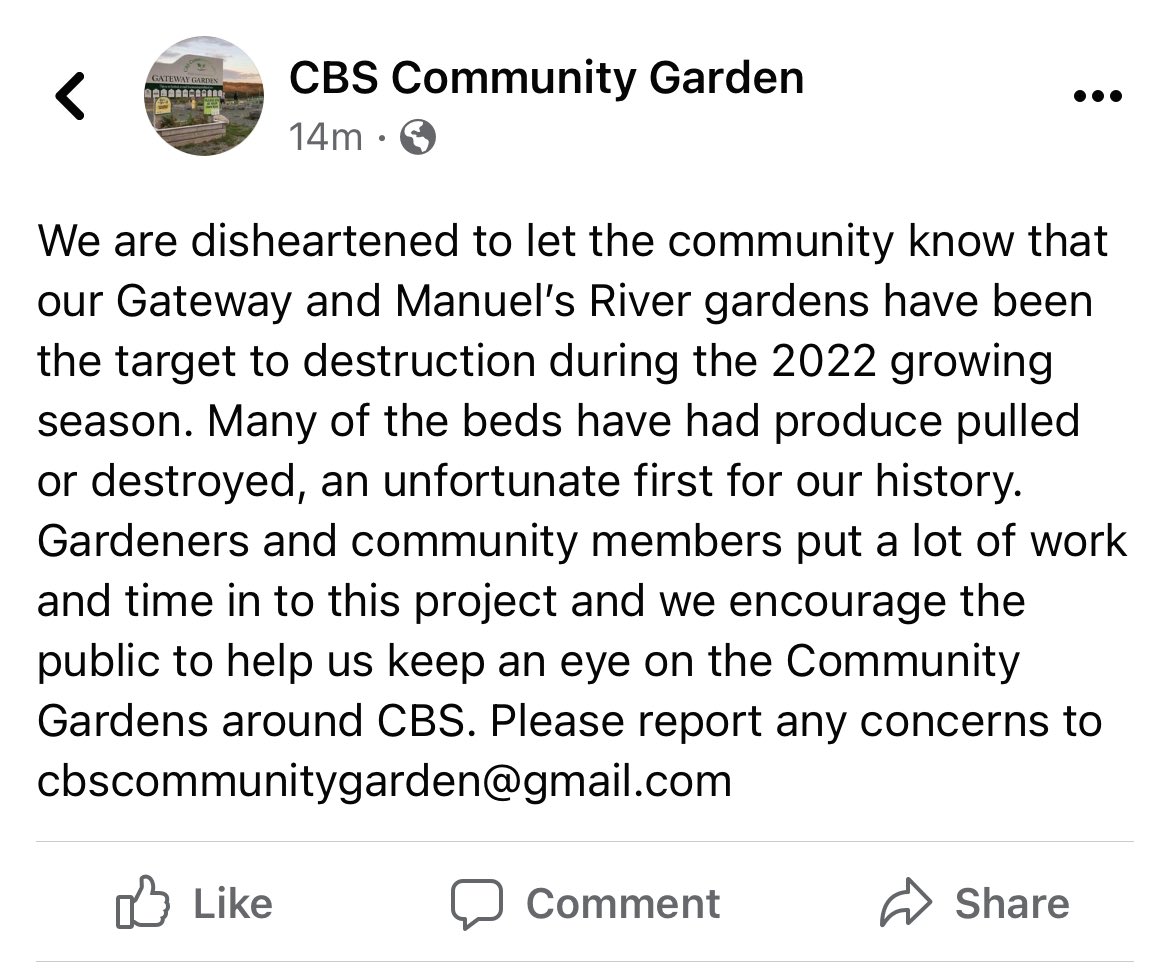 cbspantries's tweet photo. Our friends at the @TownofCBS Community Gardens have unfortunately been the target of vandals. Crops and the hard work of many in our community have been destroyed. Please speak up if you have any info! https://t.co/P0X1TrPSeA