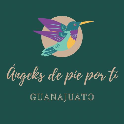 angeles_pie's tweet photo. La familia de Ángeles de pi por ti se une a la conmemoración del día internacional de las víctimas de desaparición forzada y les invita la misa a la 1 de la tarde el día 30 de agosto en el templo de la virgen del Carmen en Salvatierra Gto. #teBuscareSiempre #PorCieloMarYTierra https://t.co/uFkEFP2FWq