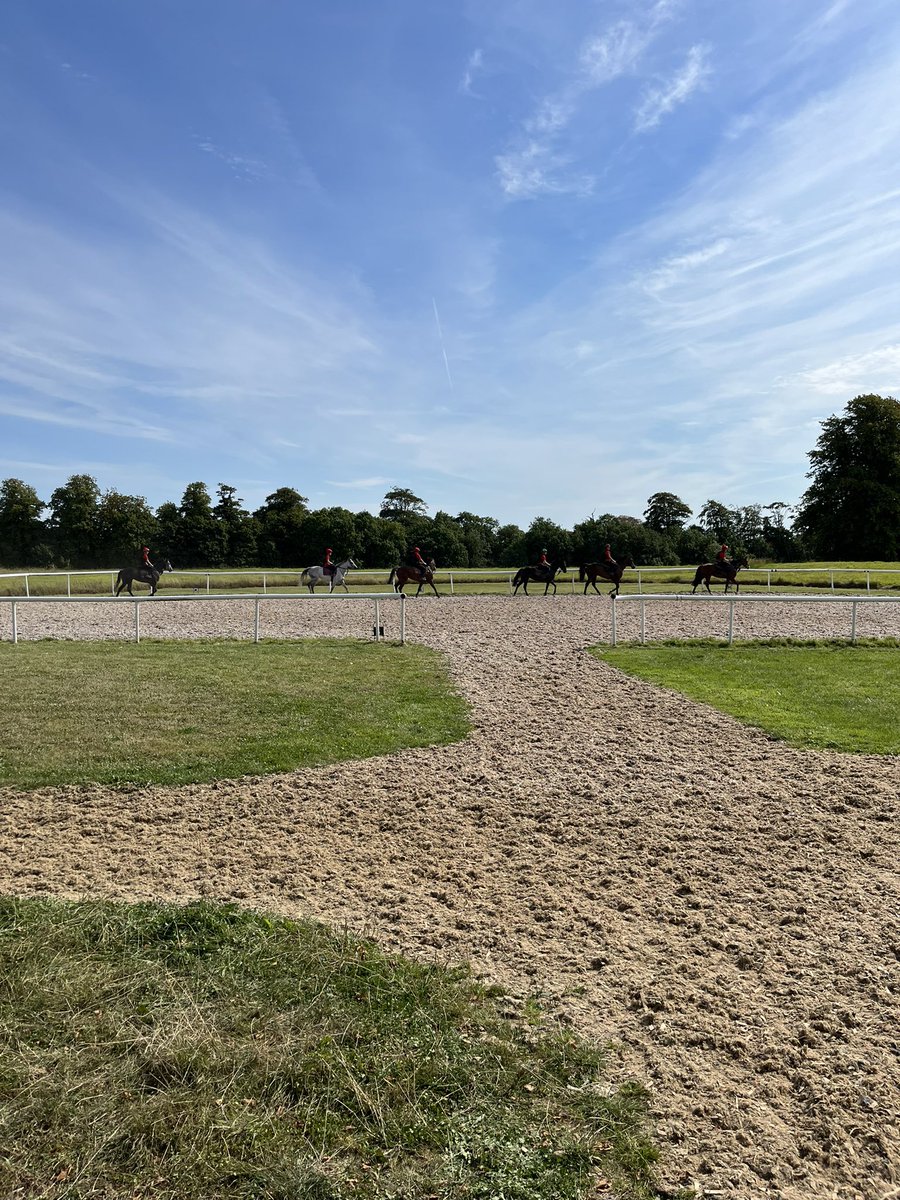 HRI Ownership tweet media