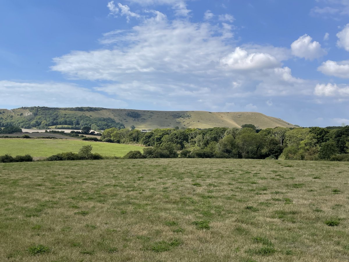ploddercfc's tweet photo. After a serious case of cba and no parkrun, got a grip and went for a 7 mile walk and there was cake so all good in the end! #walking #cake #muchneededtime #firle https://t.co/wUcCGFK0u7