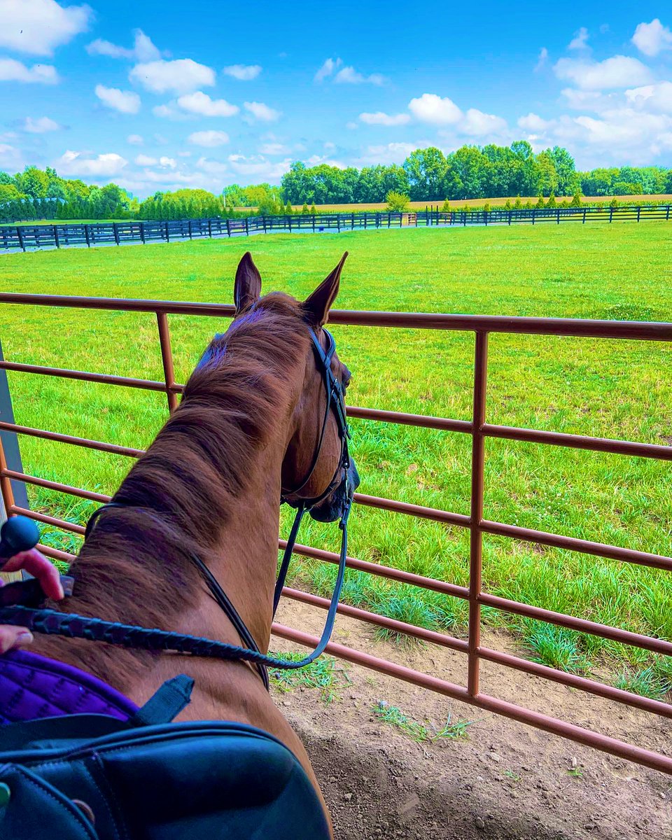 RVTEquestrian's tweet photo. Perfect way to kick off the weekend!💜 #equestrianlife #myhappyplace #peace https://t.co/SgPyzC9l1n