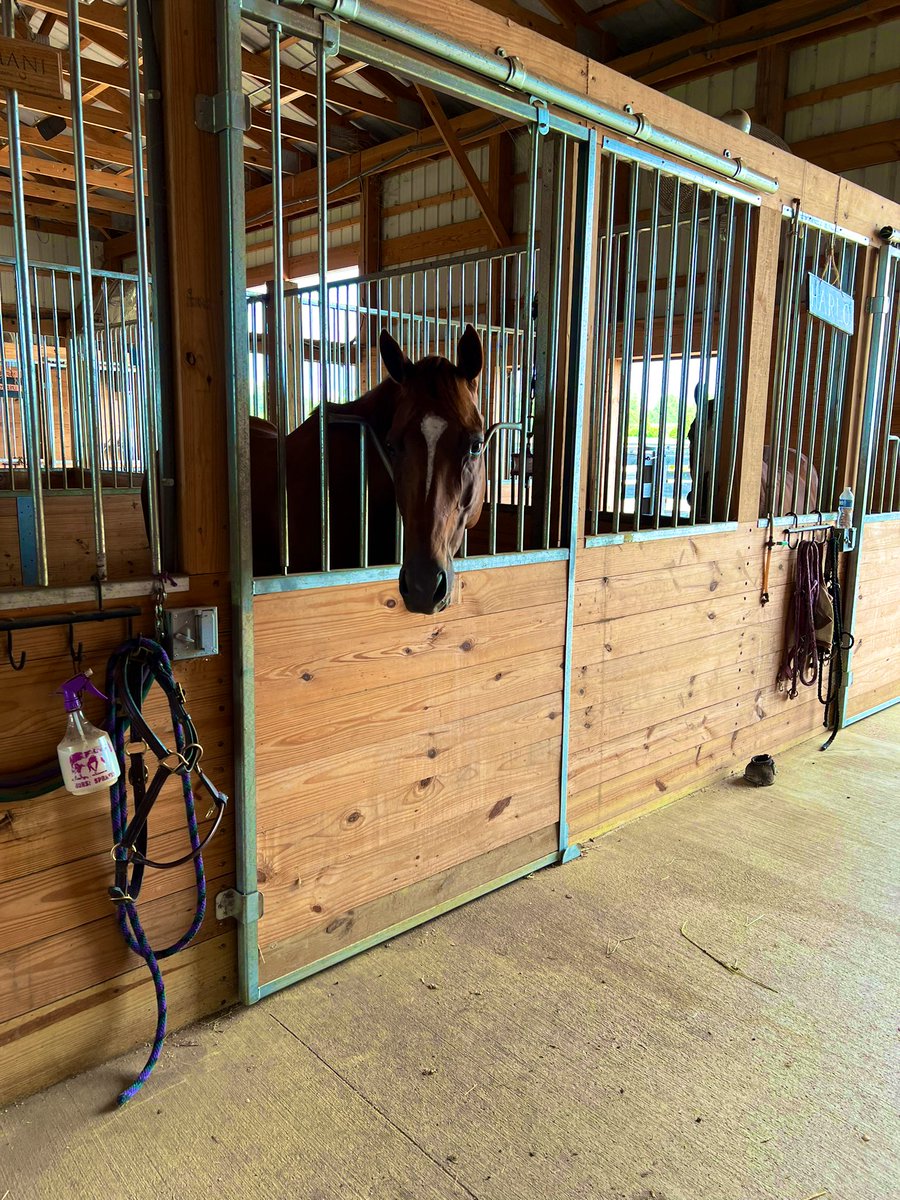 RVTEquestrian's tweet photo. Perfect way to kick off the weekend!💜 #equestrianlife #myhappyplace #peace https://t.co/SgPyzC9l1n