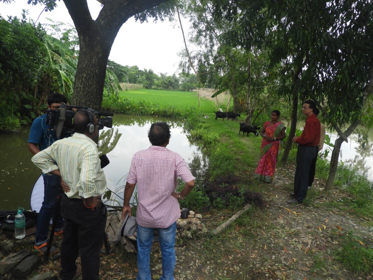 LRRMission's tweet photo. Capturing our success stories on agriculture and animal husbandry by Doordarshan Kendra, Kolkata at Kultali
#sundarban #agriculture #AlternativeLivelihood https://t.co/KrGADHK6zO