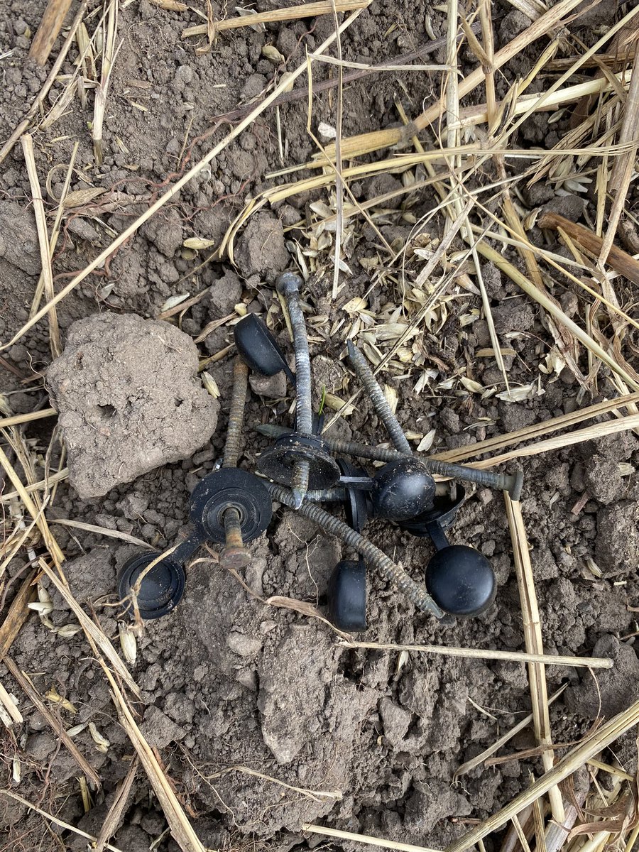 Alex Peace tweet media