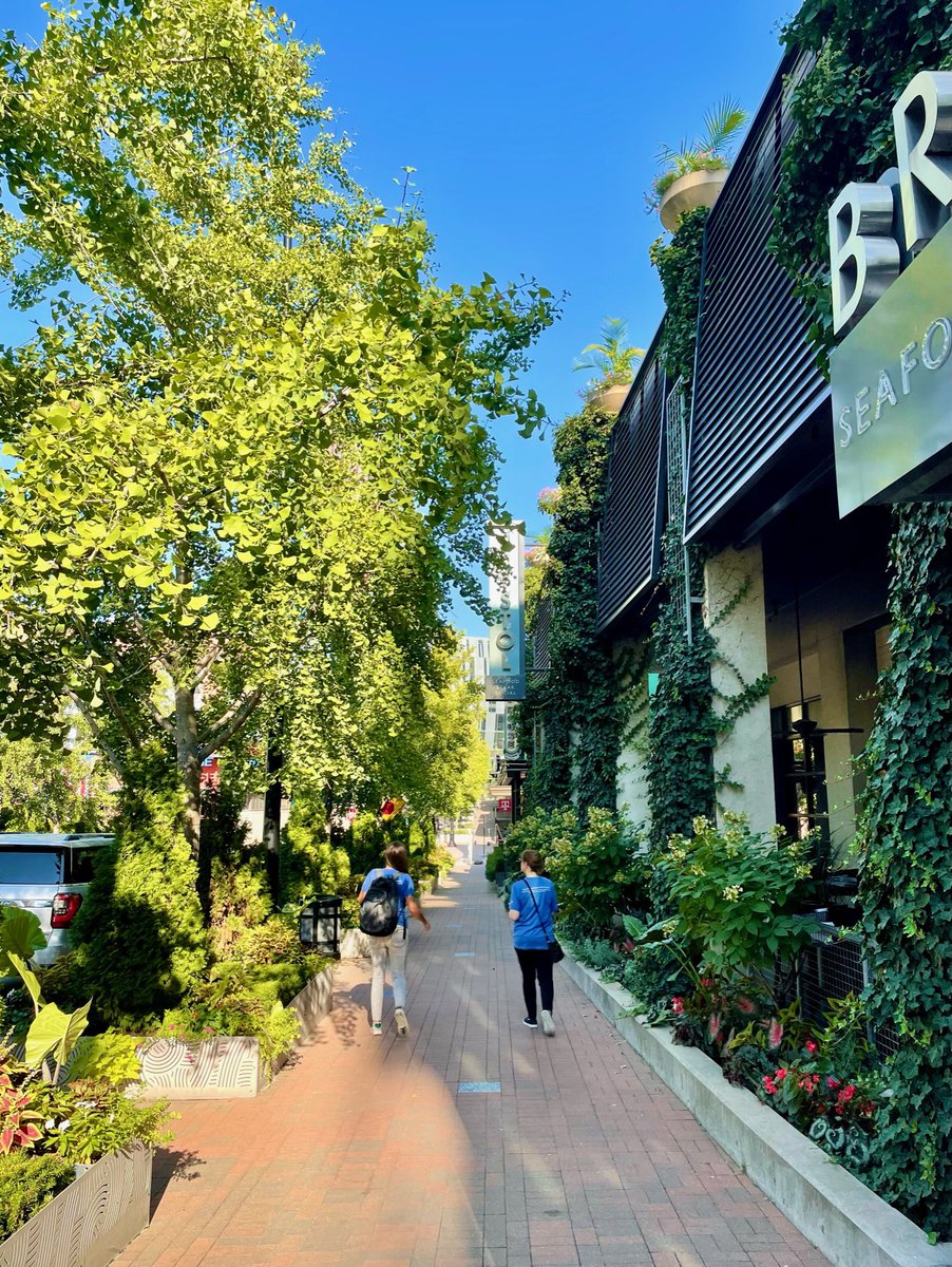 Good Morning Kansas City!
📍Downtown Kansas City