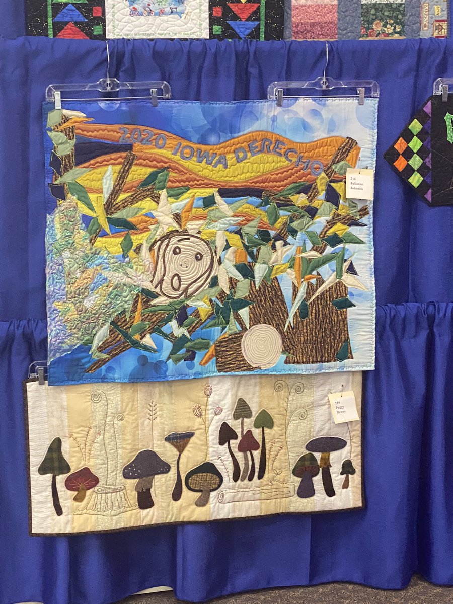 klrindfleisch's tweet photo. Can't stop thinking about this quilt I saw at the fair https://t.co/yoJPJJWQls