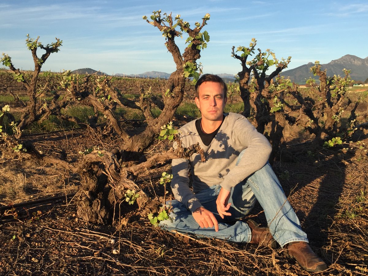 TopWineSA's tweet photo. Are old vines more likely to produce greater complexity and more nuance in a wine, or is Stellenrust just as capable of coming up with winning Chenins using grapes from youngsters on the farm?!
https://t.co/NnAbB3DIMh
#SA #SouthAfrica #TopWineSA #Chenin #Challenge #Stellenrust https://t.co/2xsCk2xkRL