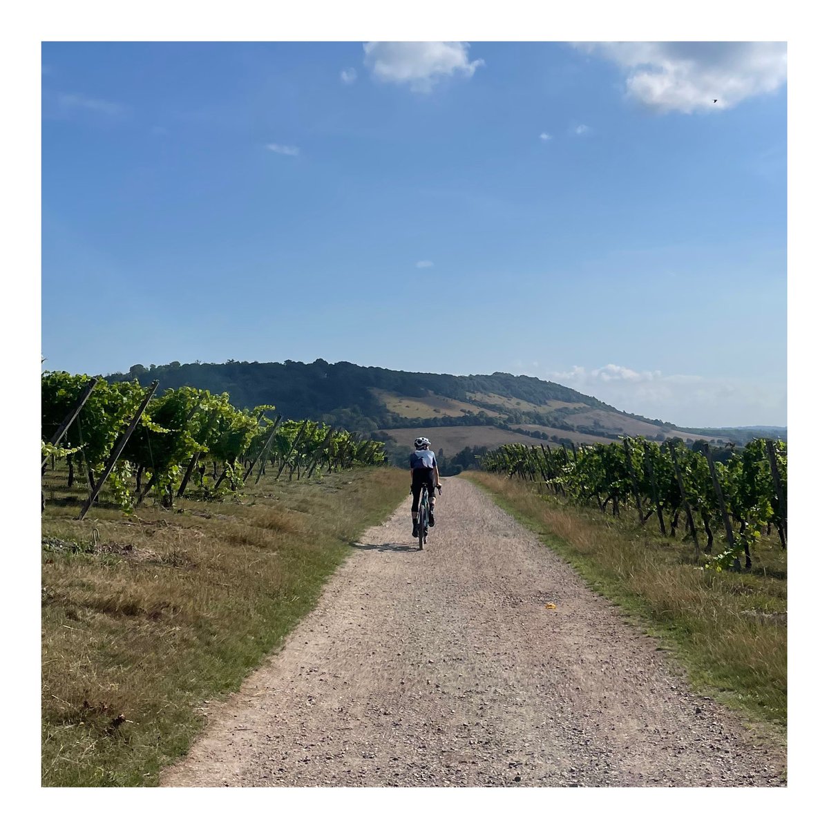 jferg_76's tweet photo. Saturday Gravel Part II #cycling #gravel #saturdaysocial #ridingwithfriends https://t.co/SLMQQFr4CG