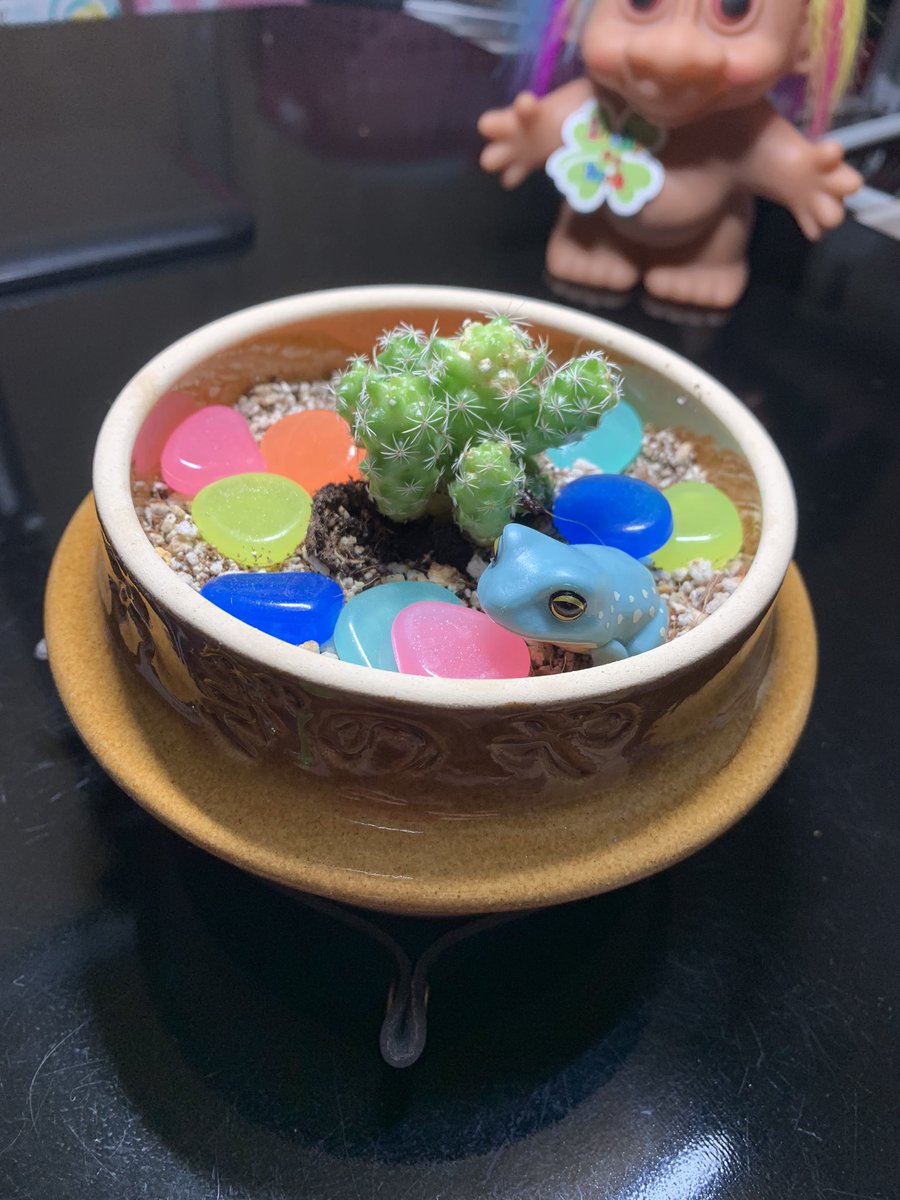 みんなの サボテン 釜めし 口コミ 評判 食べたいランチ 夜ごはんがきっと見つかる ナウティスイーツ みんなの サボテン 釜めし 口コミ 評判 食べたいランチ 夜ごはんがきっと見つかる ナウティスイーツ