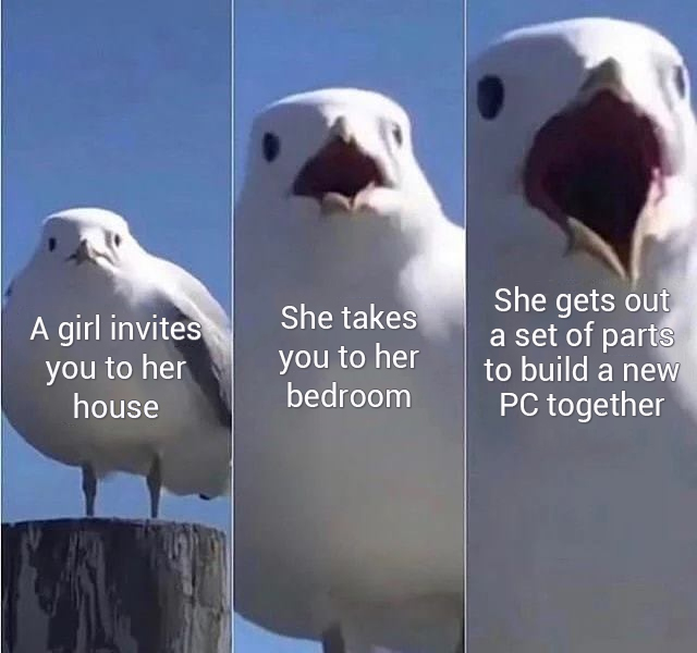 Deepcoolglobal's tweet photo. Which is the most exciting part?😏

#deepcool #gamer #pcgamer #pcgaming #gamingcommunity #gamerlife #pcsetup #fyp #meme https://t.co/UeOImFw9MI