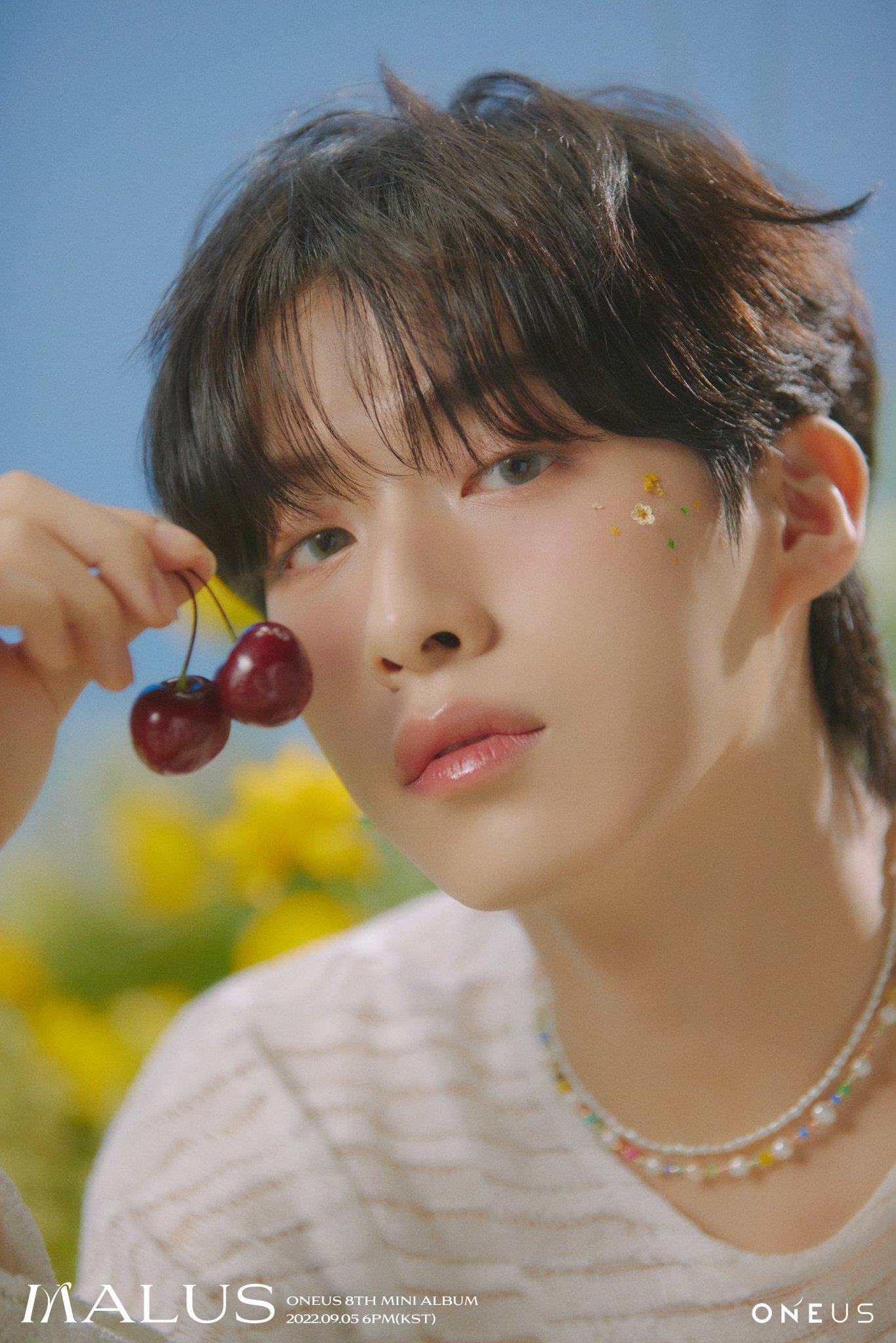 ONEUS در X: «[#원어스] 8th Mini Album [MALUS] ▪️ CONCEPT