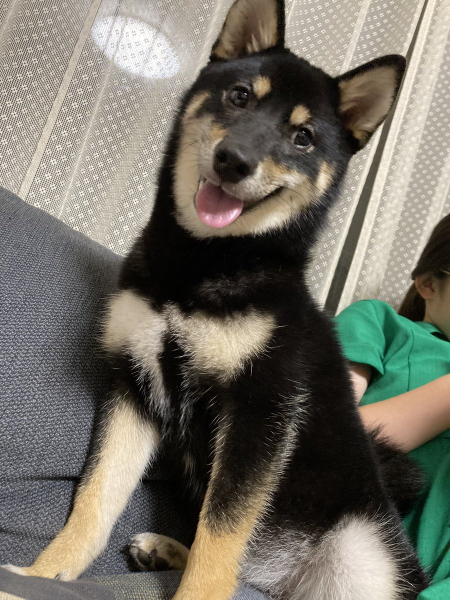 FbLSETcUsAE1NWB.jpg?format=jpg