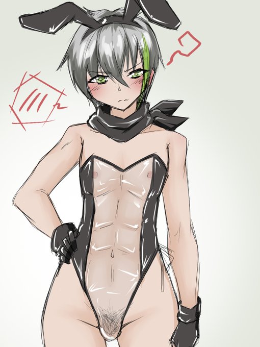 #ドルフロスケバニ部 

ザク隊長さん(@zakutaityou)のとこのOC
はやぶさくん 