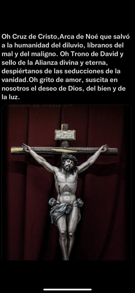 !!!!    D I V I N A     MISERICORDIA   !!!!